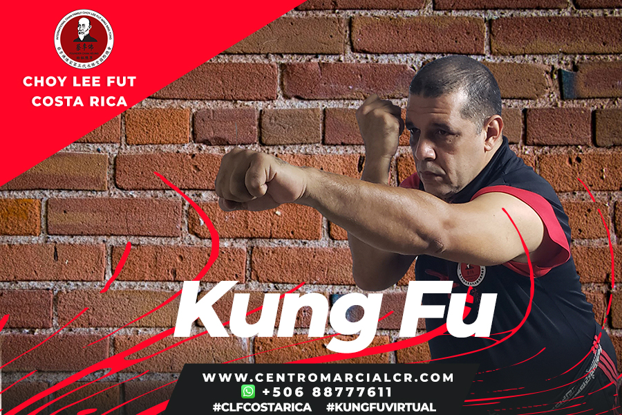 Clases Virtuales de Kung Fu Choy Lee Fut Costa Rica